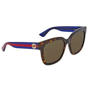 Gucci Brown Sunglasses Glitter Red & Blue Arms